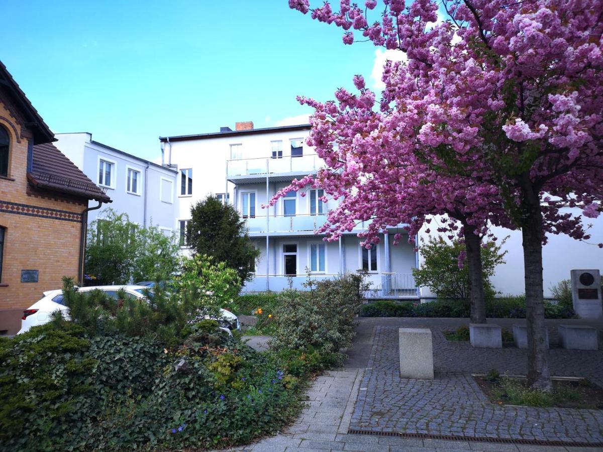 Pb Ferienwohnungen - Fewo 3 - Stilvoll Eingerichtetes Studio Im Herzen Senftenbergs Exteriör bild